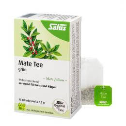 MATE TEE grün Kräutertee Mate folium Bio Salus 15 St Filterbeutel