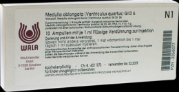 MEDULLA OBLONGATA Ventriculus quartus GL D 6 Amp. 10X1 ml