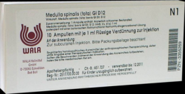 MEDULLA SPINALIS tota GL D 12 Ampullen 10X1 ml
