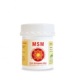 MSM 1000 mg Kapseln 80 St Kapseln