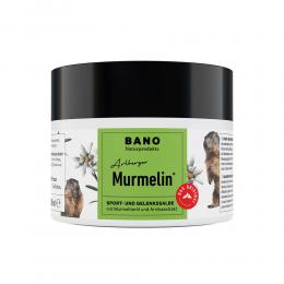 Ein aktuelles Angebot für MURMELIN Arlberger Murmeltiersalbe 200 ml Salbe Muskel- & Gelenkschmerzen - jetzt kaufen, Marke BANO Healthcare GmbH.