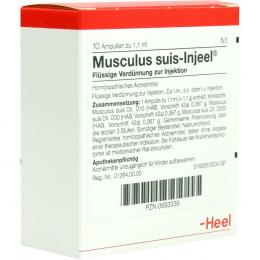 Ein aktuelles Angebot für MUSCULUS SUIS Injeel Ampullen 10 St Ampullen Naturheilkunde & Homöopathie - jetzt kaufen, Marke Biologische Heilmittel Heel GmbH.