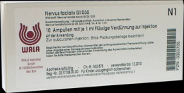 NERVUS FACIALIS GL D 30 Ampullen 10X1 ml