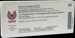 NERVUS ISCHIADICUS GL D 10 Ampullen 10X1 ml