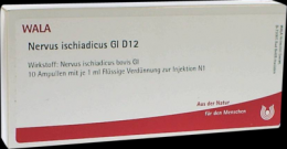 NERVUS ISCHIADICUS GL D 12 Ampullen 10X1 ml