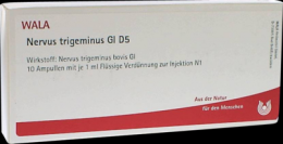 NERVUS TRIGEMINUS GL D 5 Ampullen 10X1 ml