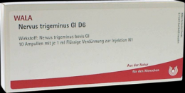 NERVUS TRIGEMINUS GL D 6 Ampullen 10X1 ml