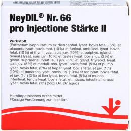 NEYDIL Nr.66 pro injectione St.2 Ampullen 10 ml