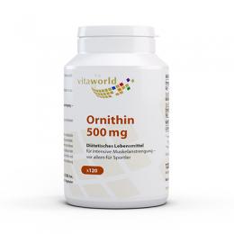 ORNITHIN 500 mg Kapseln 120 St