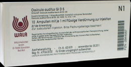 OSSICULA auditus GL D 5 Ampullen 10X1 ml