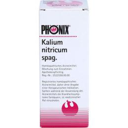 PHÖNIX KALIUM nitricum spag.Mischung 100 ml
