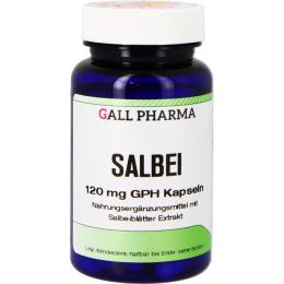 SALBEI 120 mg GPH Kapseln 180 St.