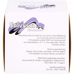 SALVYSAT 300 mg Filmtabletten 90 St.