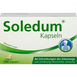SOLEDUM 100 mg magensaftresistente Kapseln 100 St.