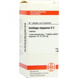 SOLIDAGO VIRGAUREA D 2 Tabletten 80 St