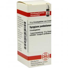 Ein aktuelles Angebot für SYZYGIUM JAMBOLANUM D 2 Globuli 10 g Globuli  - jetzt kaufen, Marke DHU-Arzneimittel GmbH & Co. KG.
