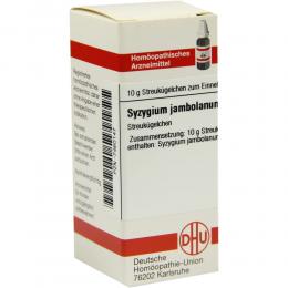 Ein aktuelles Angebot für SYZYGIUM JAMBOLANUM D 6 Globuli 10 g Globuli  - jetzt kaufen, Marke DHU-Arzneimittel GmbH & Co. KG.