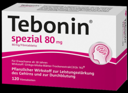 TEBONIN spezial 80 mg Filmtabletten 120 St