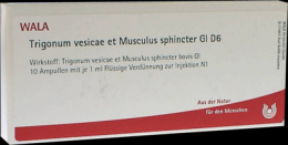 TRIGONUM vesicae et Musculus sphincter GL D 6 Amp. 10X1 ml