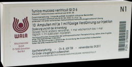TUNICA mucosa ventriculi GL D 6 Ampullen 10X1 ml