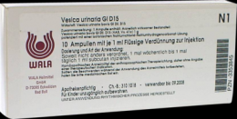 VESICA URINARIA GL D 15 Ampullen 10X1 ml
