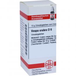 Ein aktuelles Angebot für VESPA CRABRO D 6 Globuli 10 g Globuli  - jetzt kaufen, Marke DHU-Arzneimittel GmbH & Co. KG.