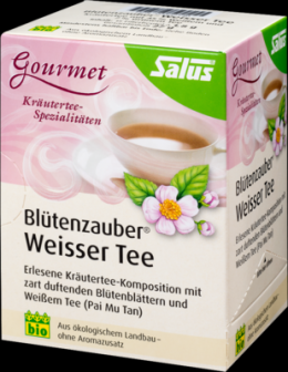 WEISSER TEE Bltenzauber Bio Salus Filterbeutel 27 g