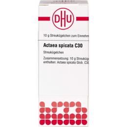 ACTAEA SPICATA C 30 Globuli 10 g