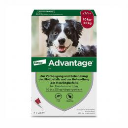ADVANTAGE 250 Lösung für Hunde 10-25 kg 4 St Lösung