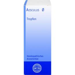 AESCULUS Urtinktur Hanosan 50 ml