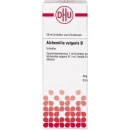 ALCHEMILLA VULGARIS Urtinktur 20 ml