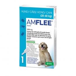 Amflee 268 mg Lösung zum Auftropfen für große Hunde 3 St Lösung