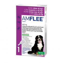 Ein aktuelles Angebot für Amflee 402 mg Lösung zum Auftropfen für sehr große Hunde 3 St Lösung Flöhe, Würmer & Zecken - jetzt kaufen, Marke TAD Pharma GmbH Geschäftsbereich Veterinärmedizin.