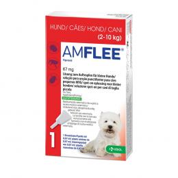 Amflee 67 mg Lösung zum Auftropfen für kleine Hunde 3 St Lösung