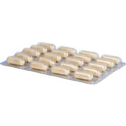 AMINOCARIN Kapseln 60 St. (27,6 g)