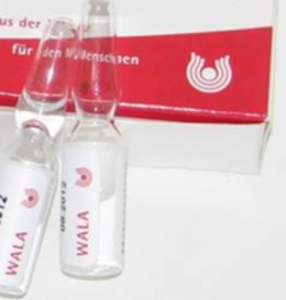 AMNION GL Serienpackung 1 Ampullen 10X1 ml