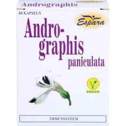 ANDROGRAPHIS PANICULATA Kapseln 60 St. (28,5 g)