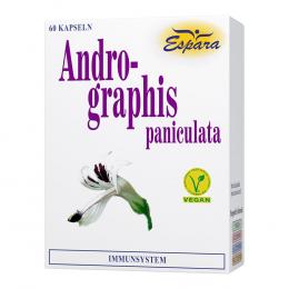 ANDROGRAPHIS paniculata Kapseln 60 St Kapseln