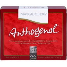 ANTHOGENOL Masquelier OPC Kapseln 30 St.