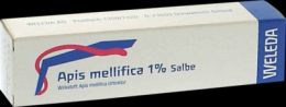 APIS MELLIFICA 1% Salbe 25 g
