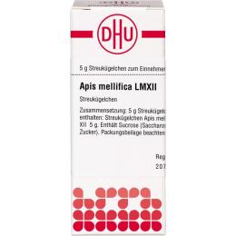 APIS MELLIFICA LM XII Globuli 5 g