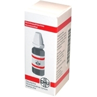 APOCYNUM D 12 Dilution 20 ml