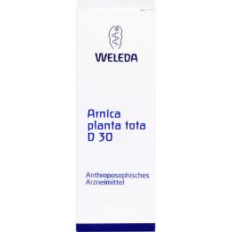 ARNICA PLANTA tota D 30 Dilution 20 ml