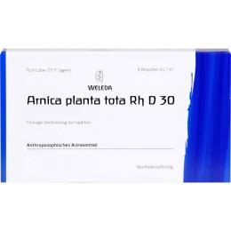 ARNICA PLANTA tota Rh D 30 Ampullen 8 ml