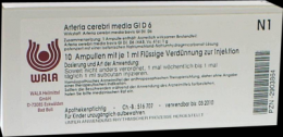 ARTERIA CEREBRI media GL D 6 Ampullen 10X1 ml
