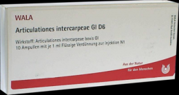 ARTICULATIONES intercarpeae GL D 6 Ampullen 10X1 ml