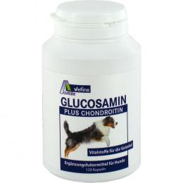 Avitale Glucosamin plus Chondroitin Kapseln für Hunde 120 St Kapseln
