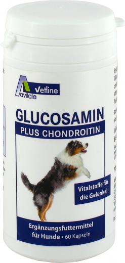 Avitale Glucosamin plus Chondroitin Kapseln für Hunde 60 St Kapseln