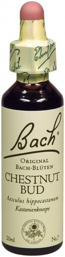 Bach-Blüte Chestnut Bud 20 ml Tropfen