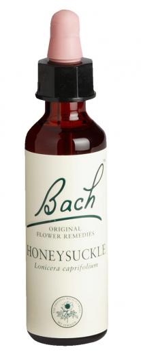 Bach-Blüte Honeysuckle 20 ml Tropfen